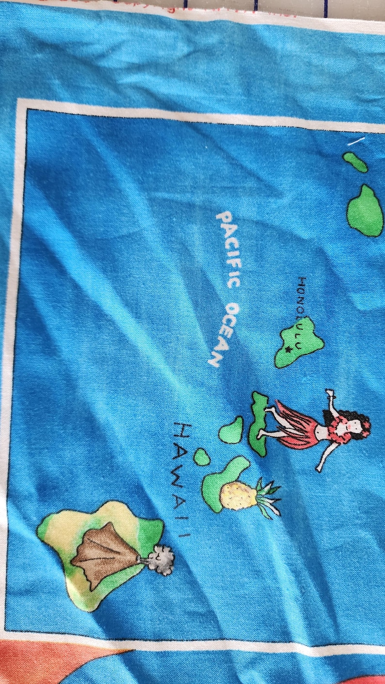 Panel de tela de algodón con mapa educativo y divertido de Estados Unidos, con capitales y símbolos, Fabric Traditions 2001, recurso didáctico para profesores de educación en el hogar. imagen 3