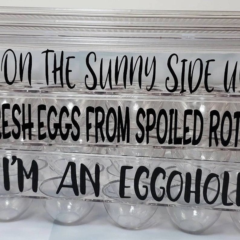 Reusable Egg Carton Egg Carton With Funny Sayings Plastic Etsy