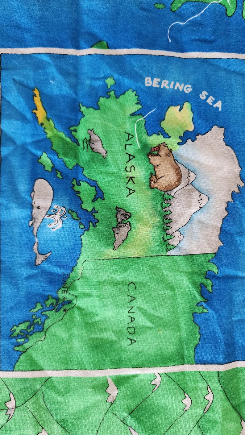 Panel de tela de algodón con mapa educativo y divertido de Estados Unidos, con capitales y símbolos, Fabric Traditions 2001, recurso didáctico para profesores de educación en el hogar. imagen 9