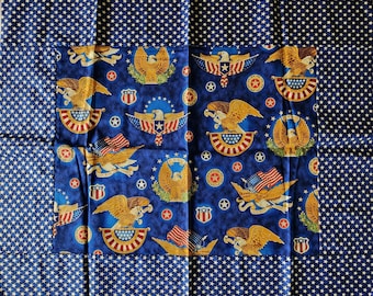 Americana fabric with eagles and other American symbols and a 4 1/2 inch blue star border, quilt of valor, quilt starter 250th anniversary