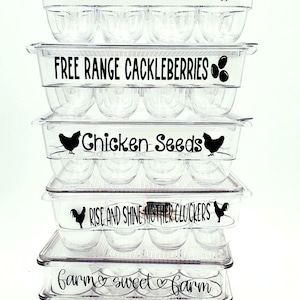 Reusable plastic egg carton with funny sayings, dozen egg holder, kitchen refrigerator organizer, birthday gift, Mother's Day gift