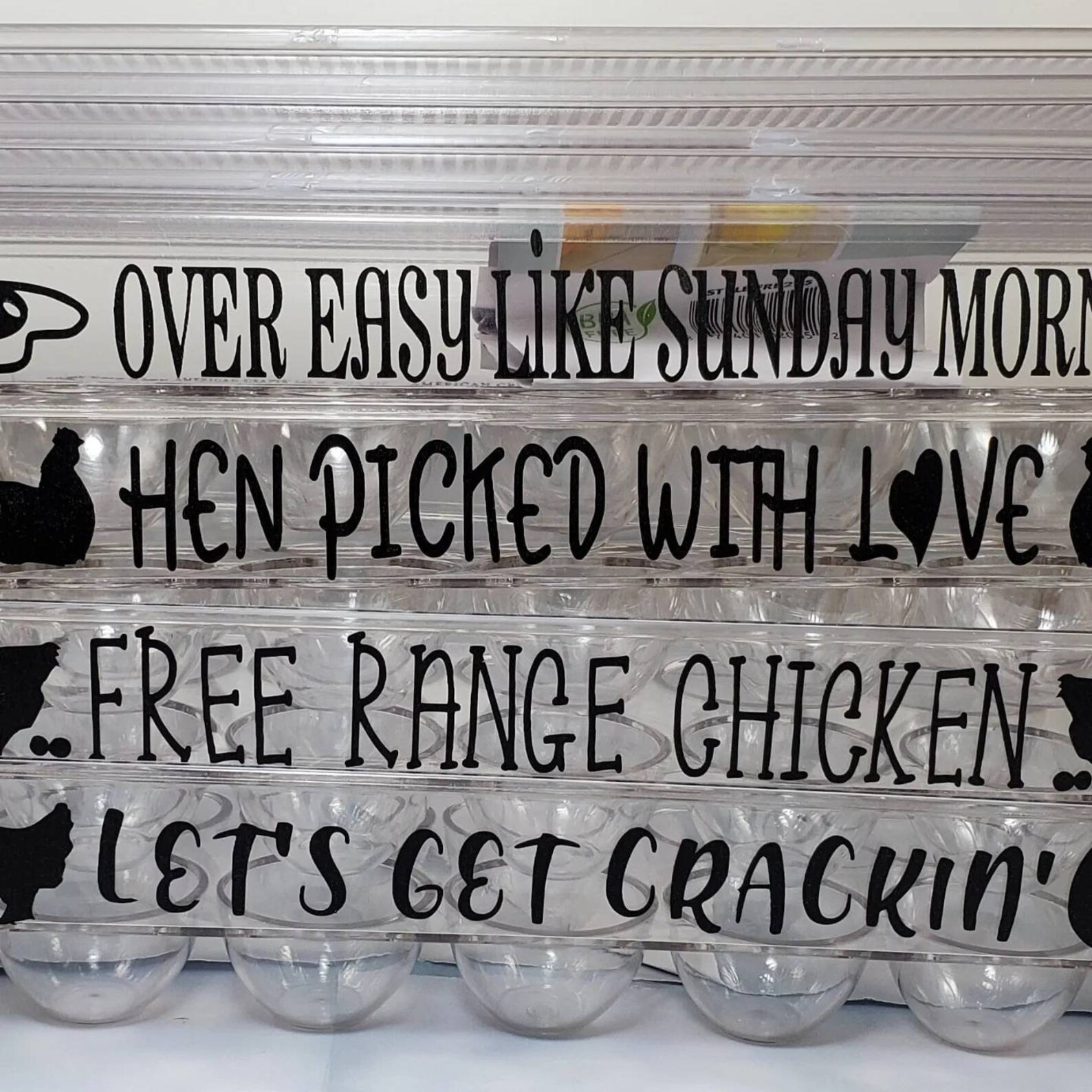Reusable Egg Carton Egg Carton With Funny Sayings Plastic Etsy
