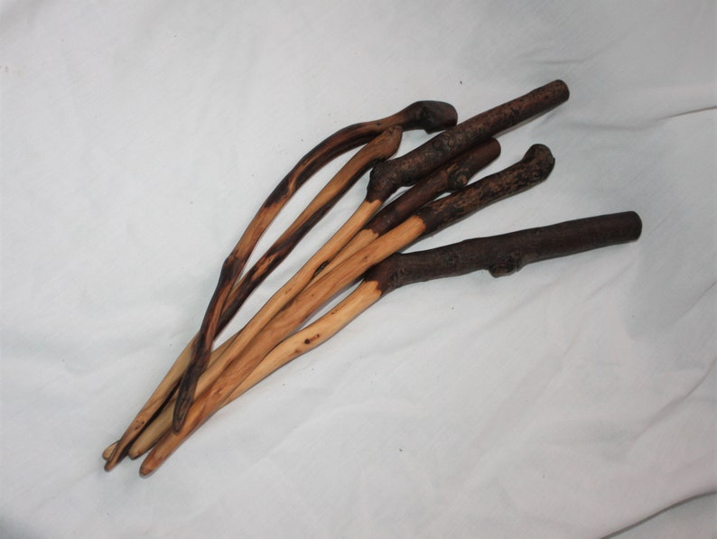 WIZARD#39;S WAND Pecan Wood Economy Maker#39;s Choice Magic WIZARD#39;S WAND Pecan Wood Economy Maker#39;s Choice Magic