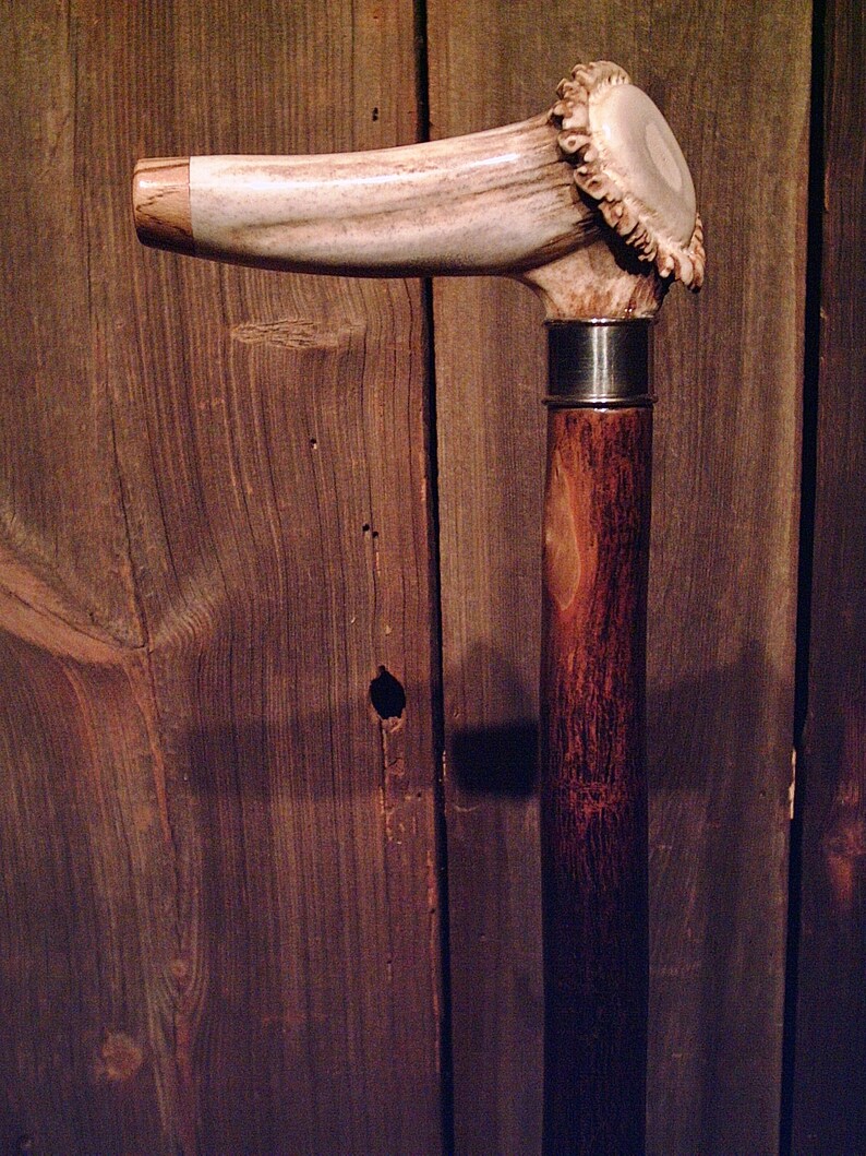 ELK antler handle custom made walking stick cane nickel collar Etsy
