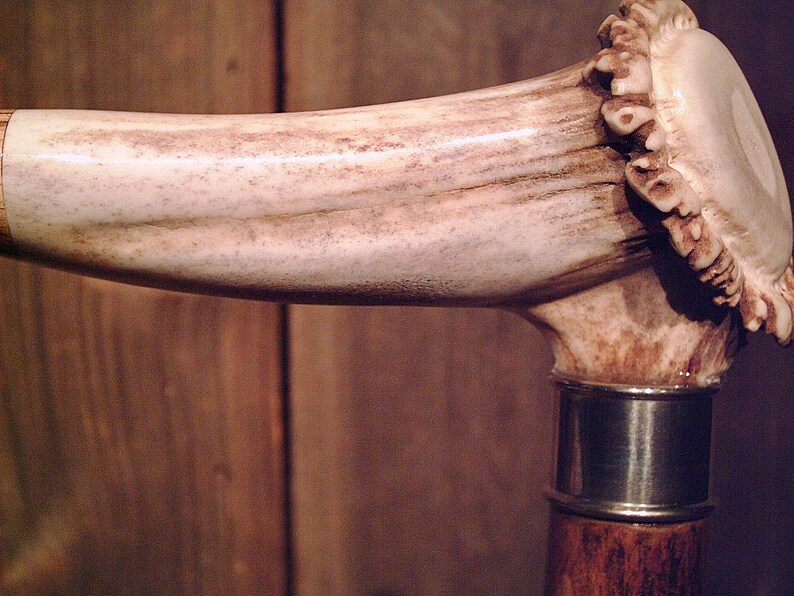 ELK antler handle custom made walking stick cane nickel collar Etsy
