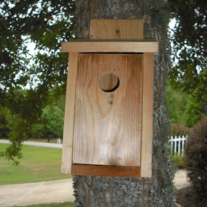 Spring Special: Cedar bird house for blue birds and wrens, with clean out panel image 1