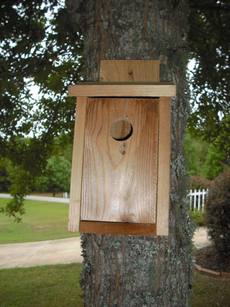 Spring Special: Cedar bird house for blue birds and wrens, with clean out panel image 1