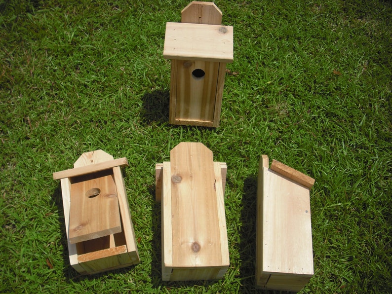 Spring Special: Cedar bird house for blue birds and wrens, with clean out panel image 2