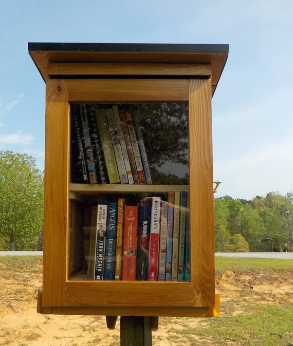 Stained Cedar Neighborhood Book Exchange, Weatherproof Lending
