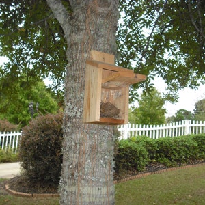 Spring Special: Cedar bird house for blue birds and wrens, with clean out panel image 3