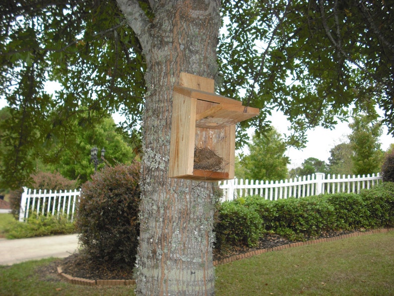 Spring Special: Cedar bird house for blue birds and wrens, with clean out panel image 3