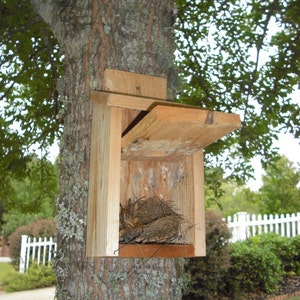 Spring Special: Cedar bird house for blue birds and wrens, with clean out panel image 4