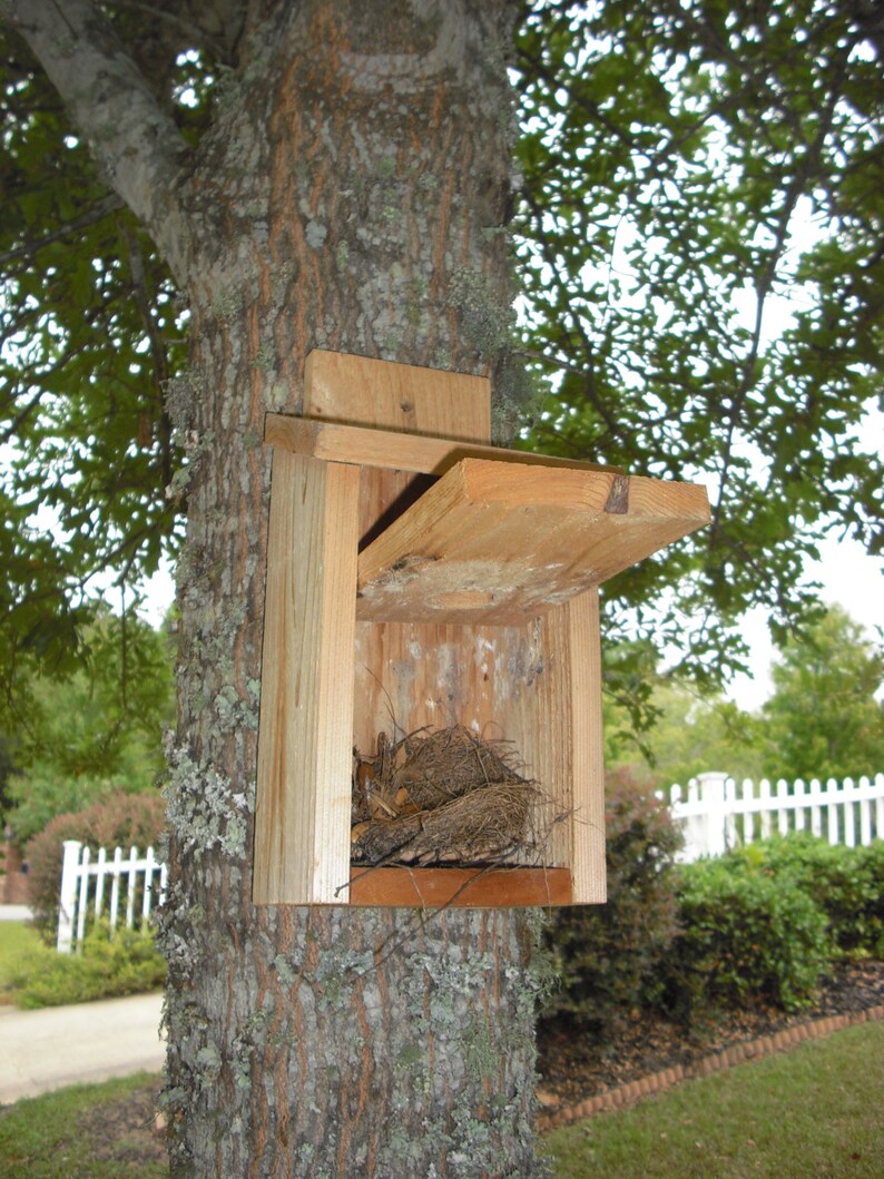 Spring Special: Cedar bird house for blue birds and wrens, with clean out panel image 4