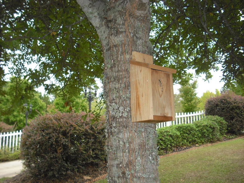 Spring Special: Cedar bird house for blue birds and wrens, with clean out panel image 5