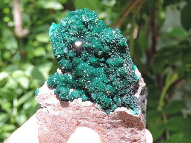 Dioptase d'un Magnifique Vert Foncé, Coloré Par Le Cuivre, Du Congo. #di07