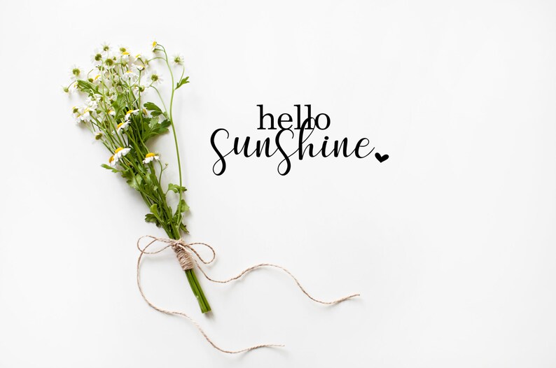 Strahlende 'Hello Sunshine' Aufkleber in eleganter Schreibschrift - Perfekte Fensterdeko.  Verwandle dein Zuhause mit unserem bezaubernden 'Hello Sunshine' Aufkleber! Dieser atemberaubende Sticker, in der Größe 8x20 cm, zaubert mit seiner eleganten Schreibschrift ein Lächeln auf jedes Gesicht. Ideal als Fensterbild.