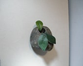 Wall Vase,Hanging Vase, Wall Planter, Stone Vase