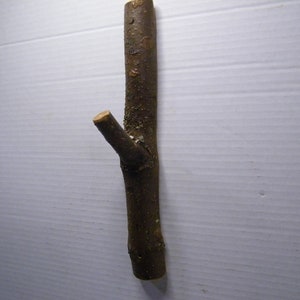 Wood Hook, Ash Tree Hook, Tree Hook, Wall Hook