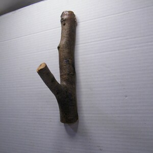 Wood Hook, Ash Tree Hook, Tree Hook, Wall Hook