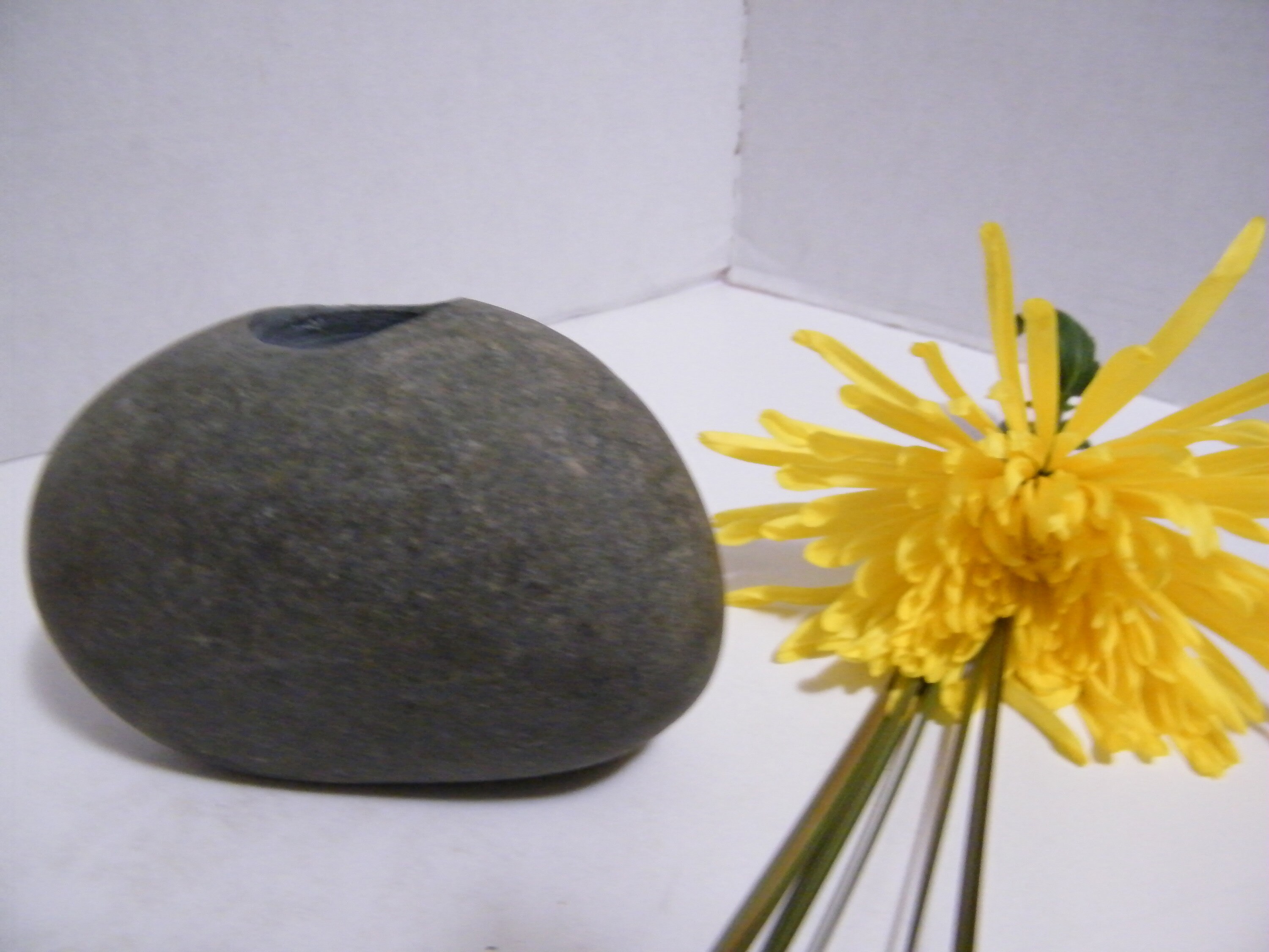 Vase Natural Rock Vase Table Centerpiece Stone Vase Etsy