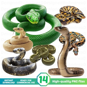 Realistic Snake Clipart, Rattlesnake PNG, Anaconda, Boa Constrictor, Sea Serpent, Sublimation Designs, Digital Stickers, INSTANT DOWNLOAD