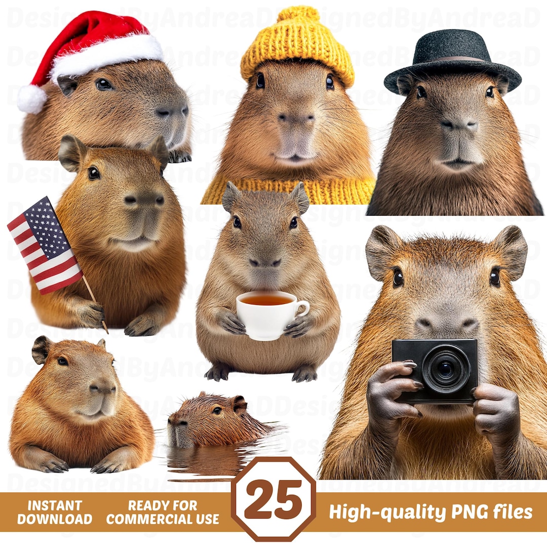 Capybara Clipart PNG Bundle, Sublimation Designs, DIGITAL DOWNLOAD - Etsy