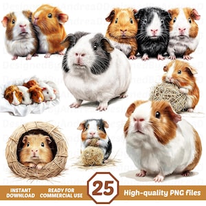 Watercolor Guinea Pig Clipart, Guinea Pig Png Bundle, Cute Guinea Pig, Sublimation Designs, Digital Stickers, INSTANT DOWNLOAD