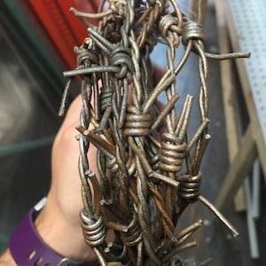 Wicked Wire Effetti Speciali Filo Spinato 12 Piedi Versione Halloween Ruggine