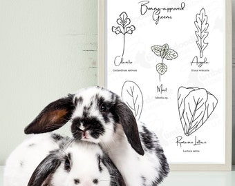 Bunny Room Decor, Légume et herbe US Printable Art Drawing, TÉLÉCHARGEMENT NUMÉRIQUE, Lapin Propriétaire Cadeau, Mignon Accessoires de Cage pour Petit Animal