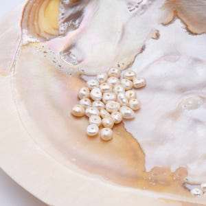 Seed Pearls Mini Potato Pearls, Freshwater Pearls, Fresh Water Pearls, Seed Pearls, Pearl Beads for Jewelry Making  2mm, 4mm FWP027