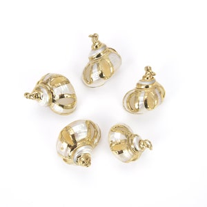Ciondolo con ciondolo in oro 14K con conchiglia di granchio eremita naturale, ciondolo conchiglia, collana di conchiglie marine, ciondolo conchiglia, 26x21mm, CP761
