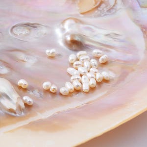 AAA Natural Freshwater Pearl Beads, 2-2.5mm, Rice Shape Beads, White Seed Pearl Beads, Great Quality pearl Beads! Full strand  FWP012