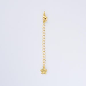 May include: A gold-colored necklace extender with a lobster clasp at the top and a small flower charm at the bottom. The extender chain is made of small, connected links. The flower charm has five petals.