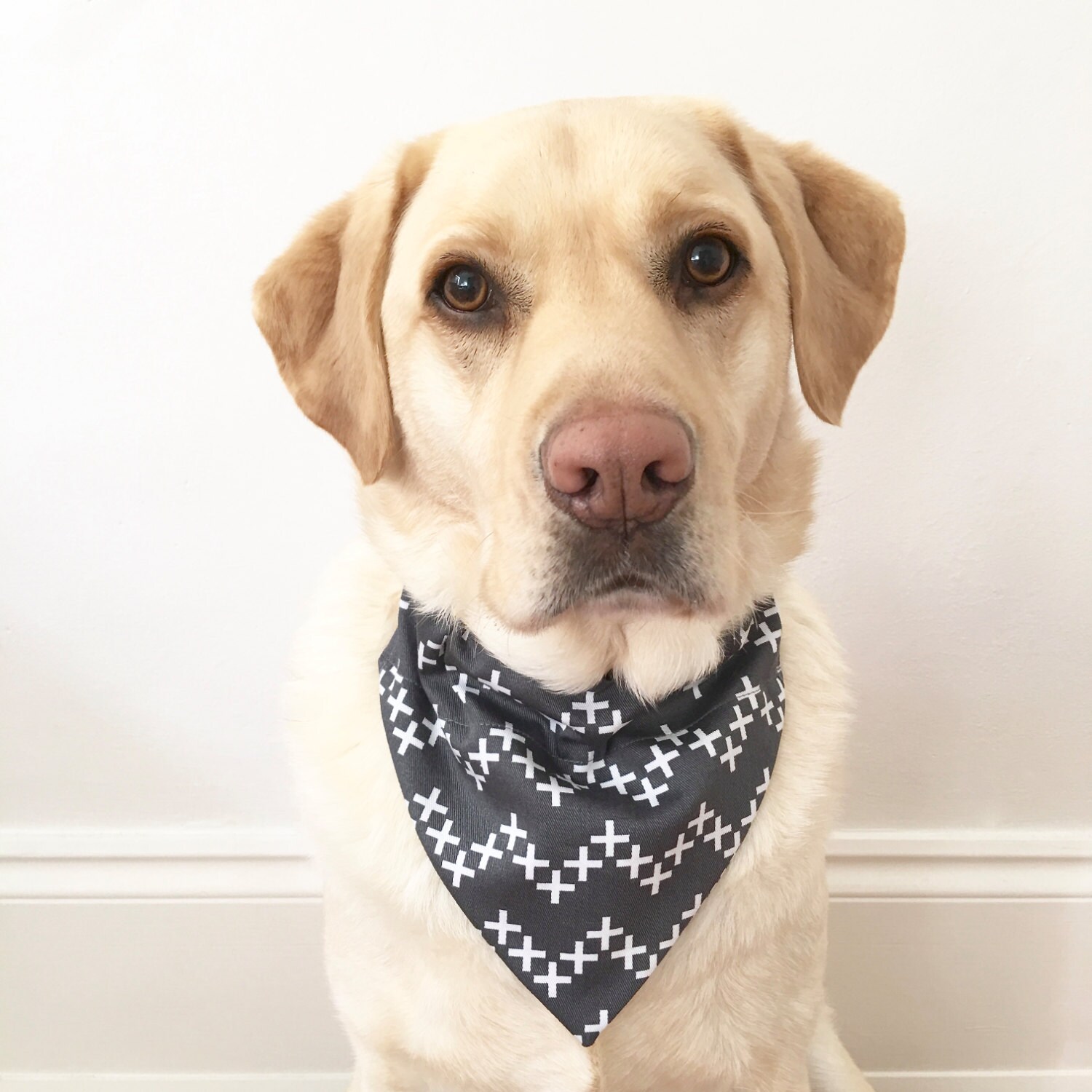 Dog Bandana Over The Collar Dog Bandana Contemporary Chevron Etsy