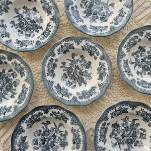 Può includere: Una collezione di sette piatti in ceramica bianca con un motivo floreale blu. Ogni piatto presenta un bordo smerlato e un motivo dettagliato di fiori e uccelli. I piatti sono disposti su una superficie strutturata color crema.
