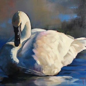 Trumpeter Swan—original oil painting