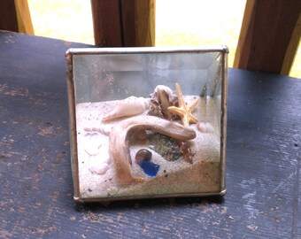 Vintage Beach Scene Diorama Paperweight, Small Beveled Glass Seashell Ocean Theme Terrarium