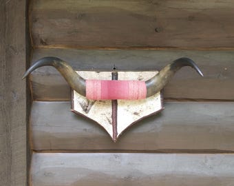 Vintage Steer Horns Mounted onto Wooden Plaque, Adirondack Birch Bark Twig Western Decor