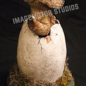 1:1 Scale life-size egg hatching baby Triceratops prop