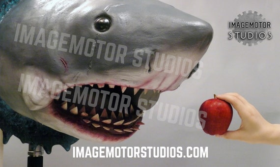 Large Bruce the Shark Jaws Wall Hanging Bust Prop -  Israel