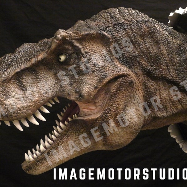 Life-like wall bursting T-Rex Tyrannosaurus bust hanging prop replica