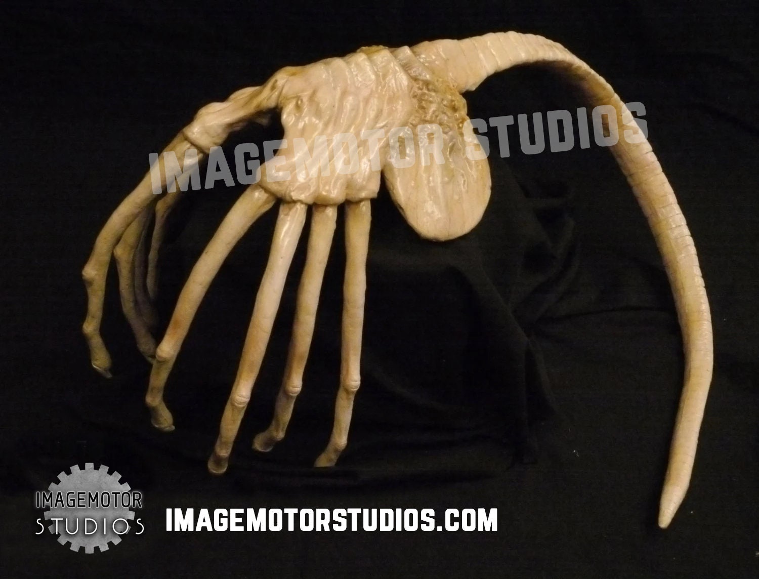 Life Size 1:1 Scale Alien Facehugger Prop Replica - Etsy