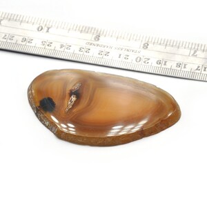 Peut inclure: Une pierre d'agate polie, de forme ovale, aux tons bruns et beiges chauds, avec une tache sombre et des motifs naturels. Une règle en acier inoxydable est placée à côté de la pierre. Les dimensions de la pierre ne sont pas visibles.