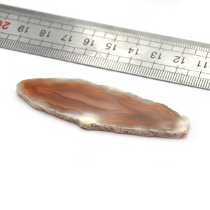 Könnte beinhalten: Eine hellbraune Agatscheibe mit einem weißen Zentrum und braunen Bändern. Die Scheibe ist etwa 15 cm lang und 5 cm breit.