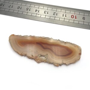 Może przedstawiać: Płytka agatu z brązowymi i białymi pasami. Agat ma około 13 cm długości i 5 cm szerokości. Linijka znajduje się w tle w celu skalowania.