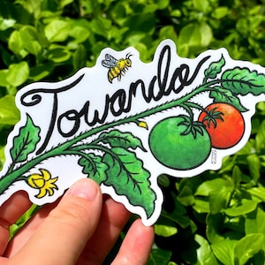 TOWANDA BUMPER STICKER | fried green tomatoes fanart