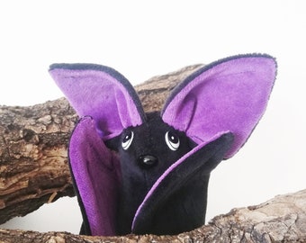 little bat *Anna