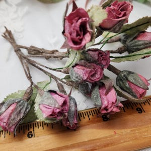 May include: A close-up of a bundle of small, dried, pink roses with green leaves and brown stems. The roses are clustered together, with some buds still closed. The stems are tied together with a thin, brown wire.