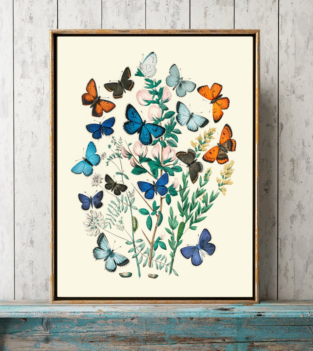 Butterfly Print Wall Art EBM3 Beautiful Antique Blue Orange Butterflies