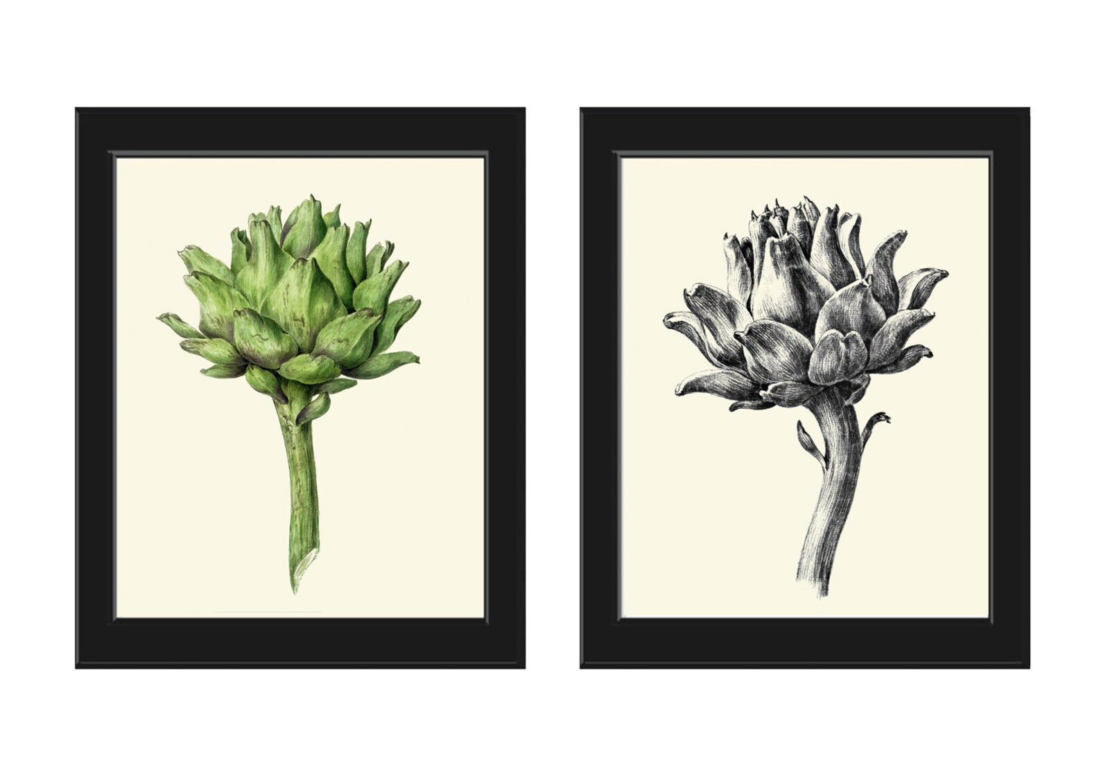 Artichoke Wall Art Set of 2 Print Beautiful Antique Botanical Etsy